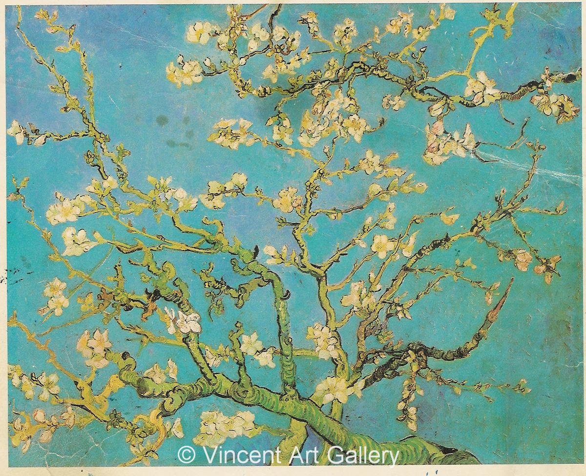 JH1891, Blossoming Almond Tree